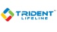 Trident Lifeline Ltd Q3 FY2025 consolidated PAT at Rs. 2.55 crore